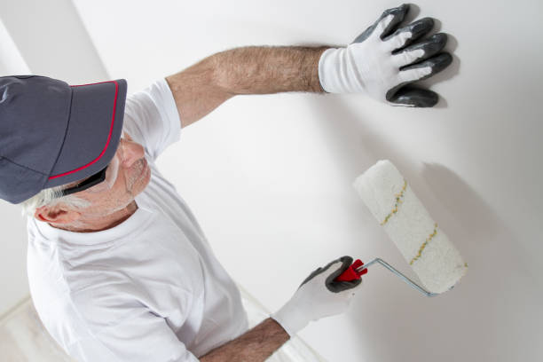 Best Wallpaper Removal and Painting  in Vashon, WA